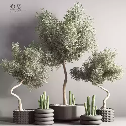 indoor plant stand 33 3D model