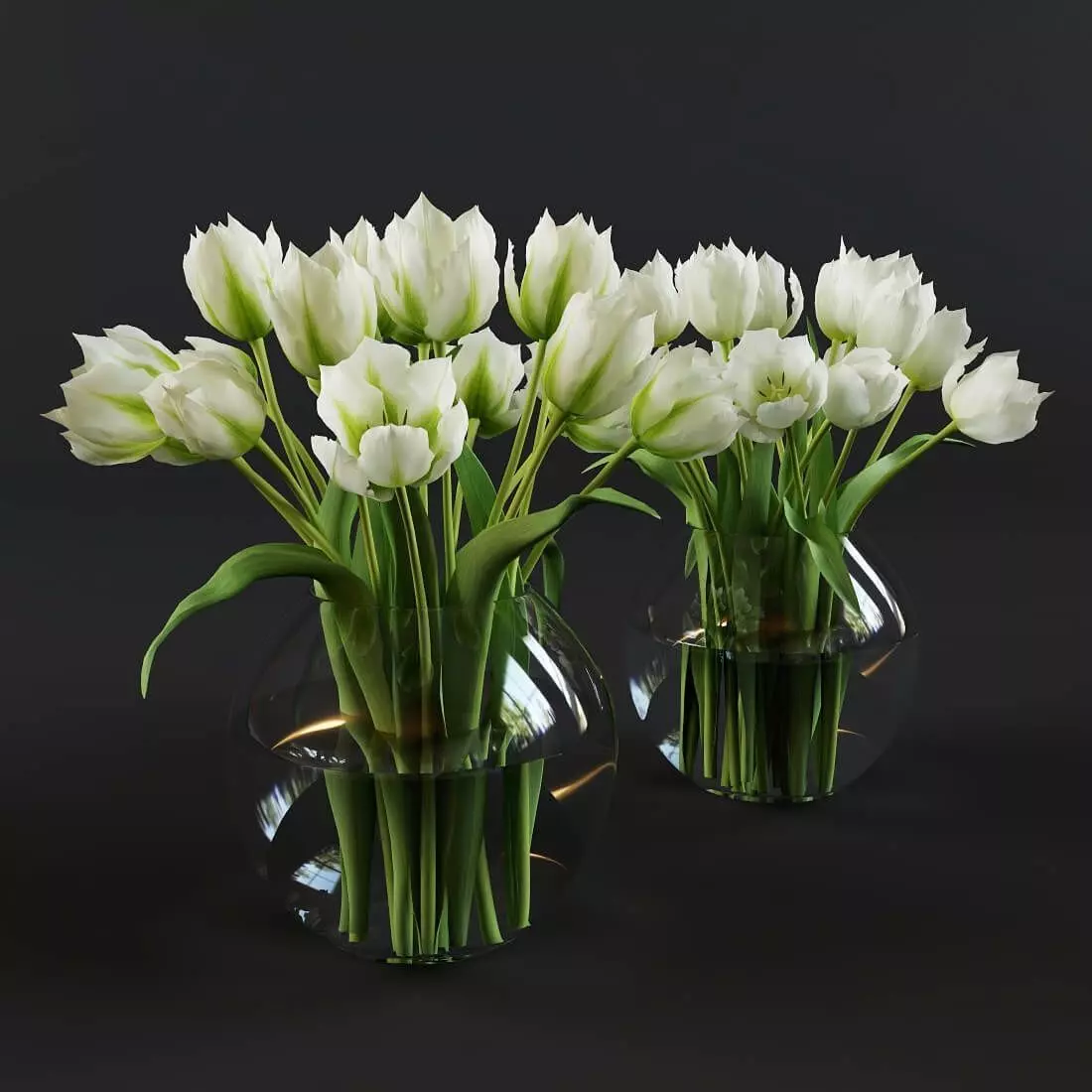 White and green tulips 3D model_0