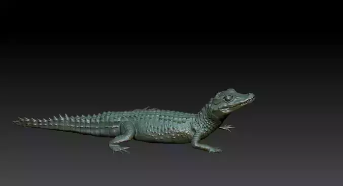 alligator 3D print model