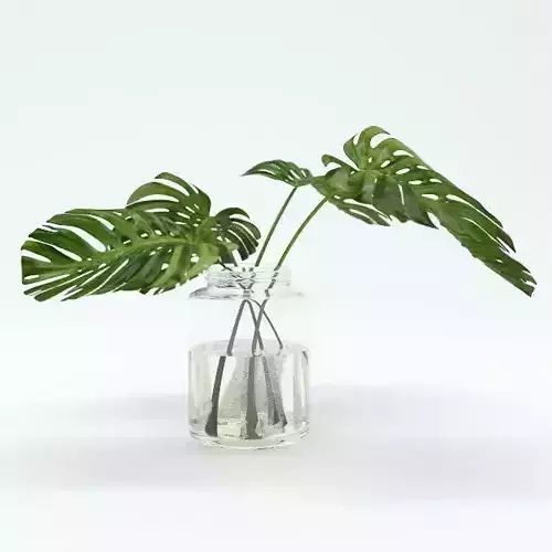 Leaves Tropical in clear vase 