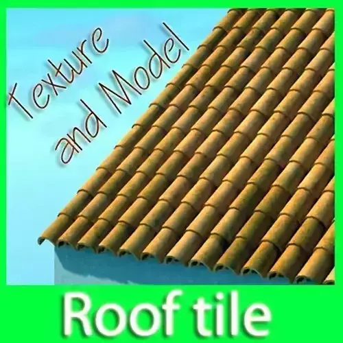 Tile Roof Dirty