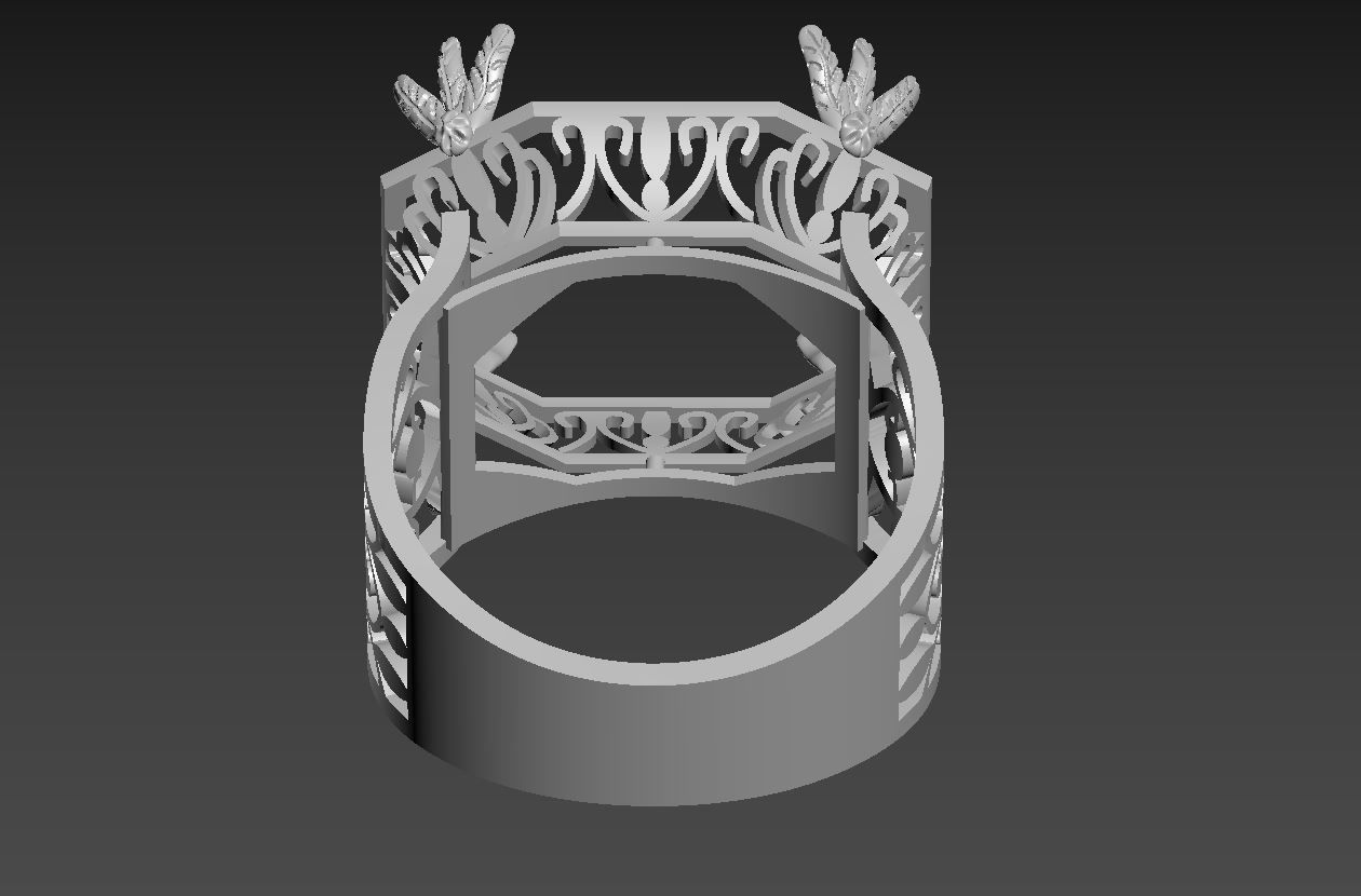 Ring R 39 3D print model_7