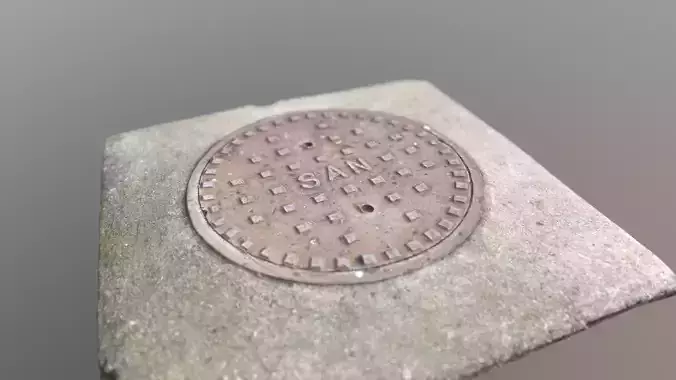 Manhole Cover Scan