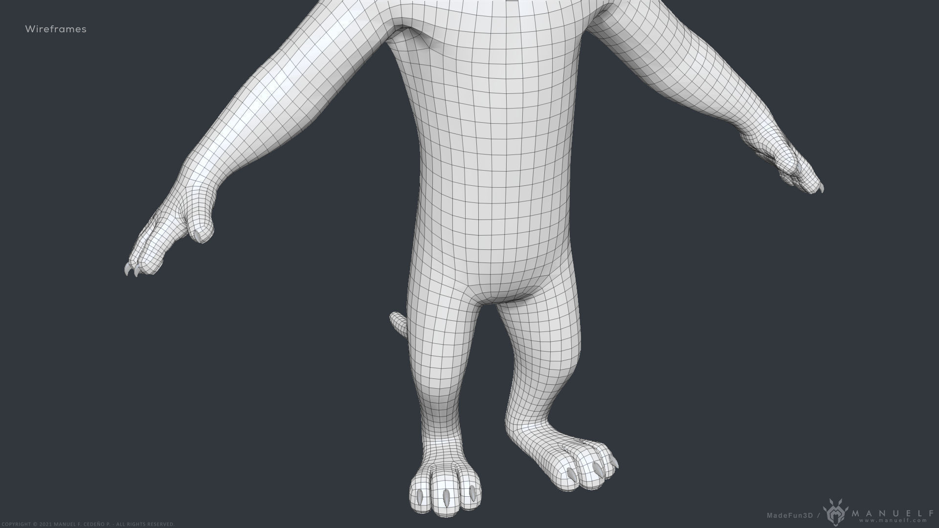 Stylized Cartoon Lion - Biped 3D model_16