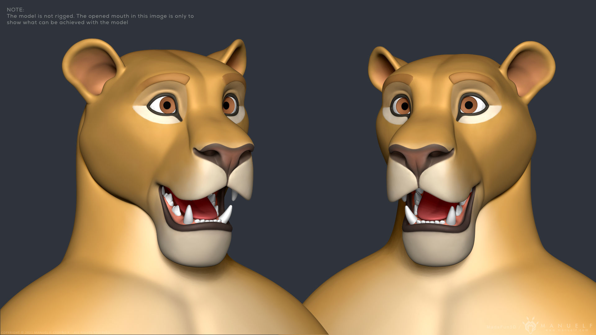 Stylized Cartoon Lion - Biped 3D model_11