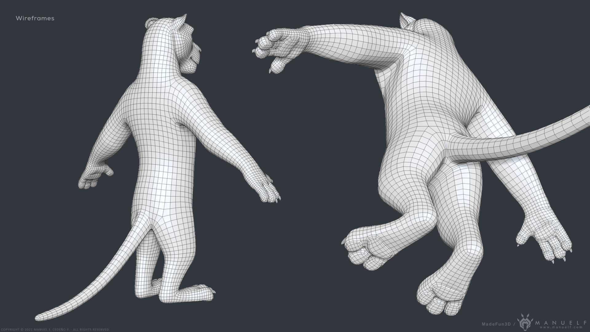 Stylized Cartoon Lion - Biped 3D model_15