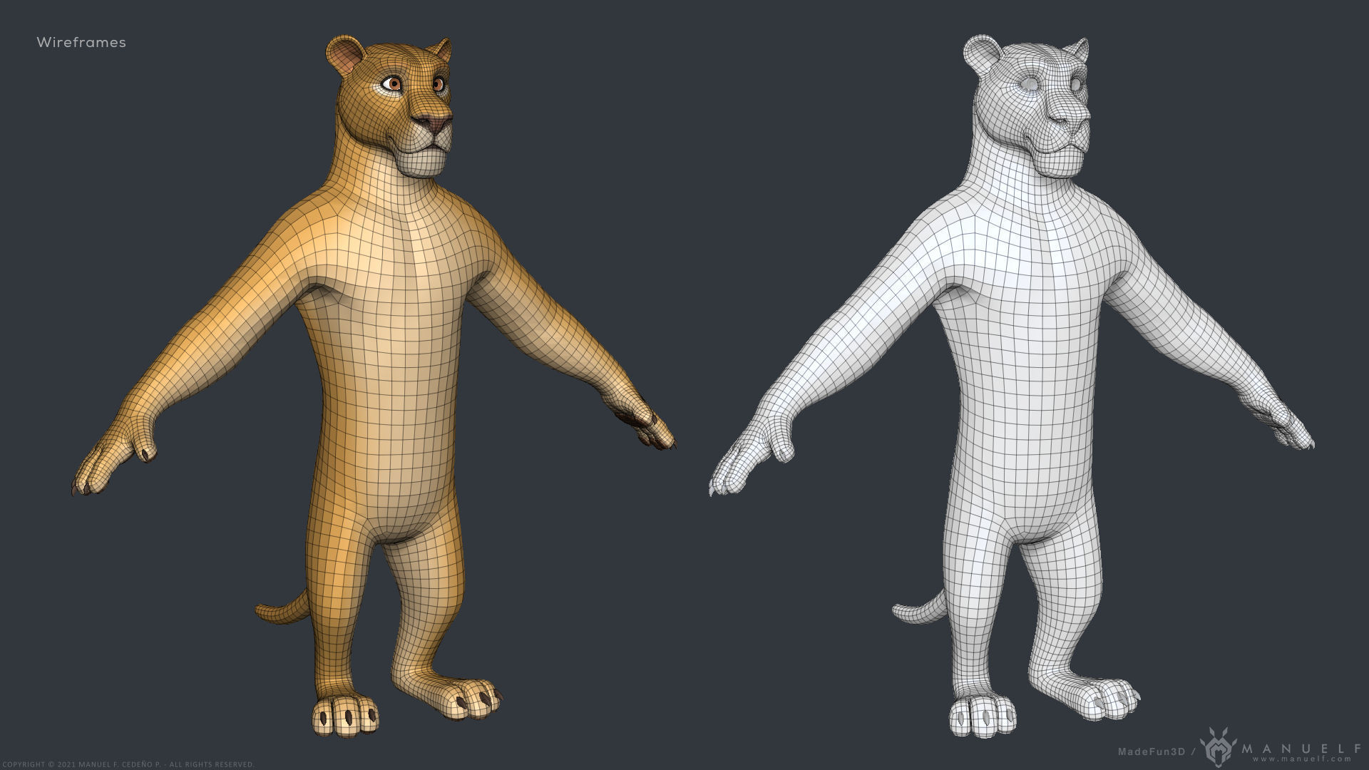 Stylized Cartoon Lion - Biped 3D model_12