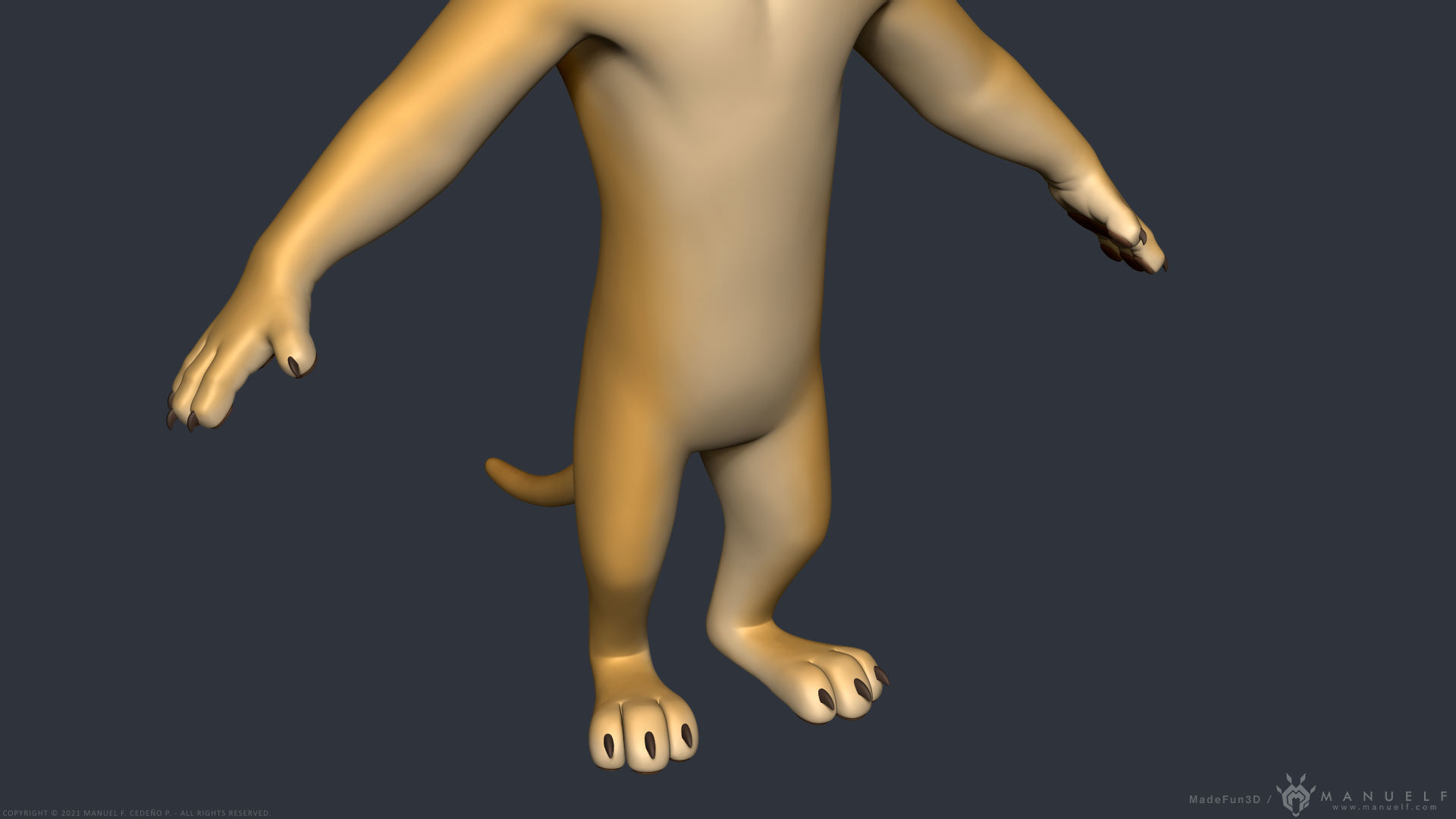 Stylized Cartoon Lion - Biped 3D model_6