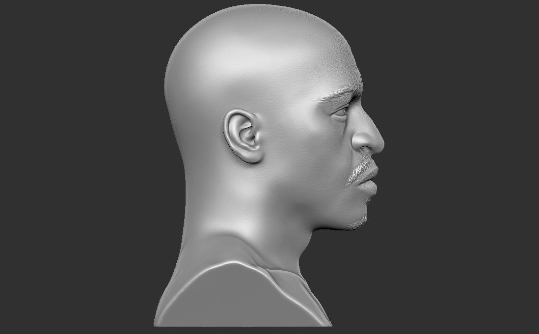 Rakim bust for 3D printing 3D print model_14