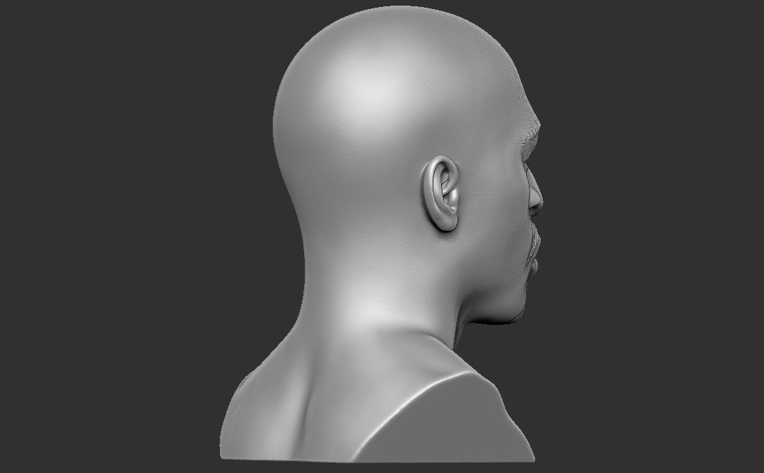 Rakim bust for 3D printing 3D print model_13