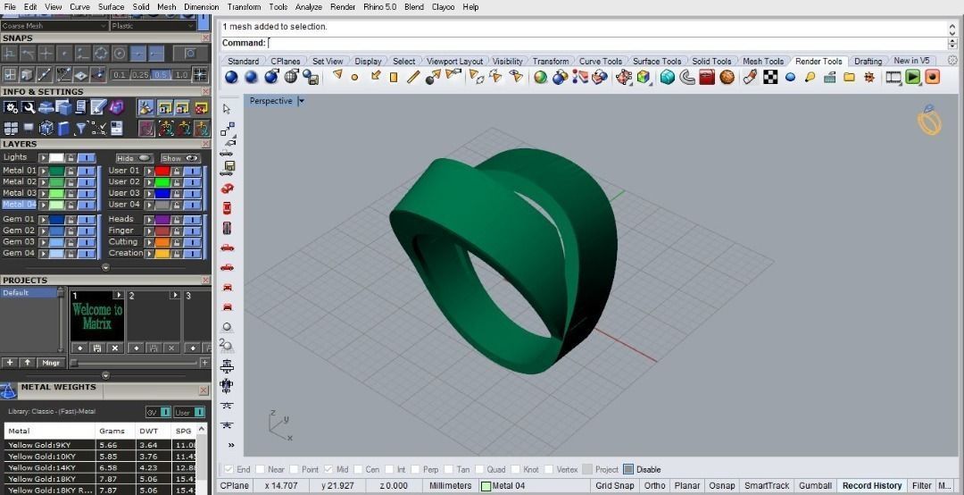 Ring R 01 3D print model_4