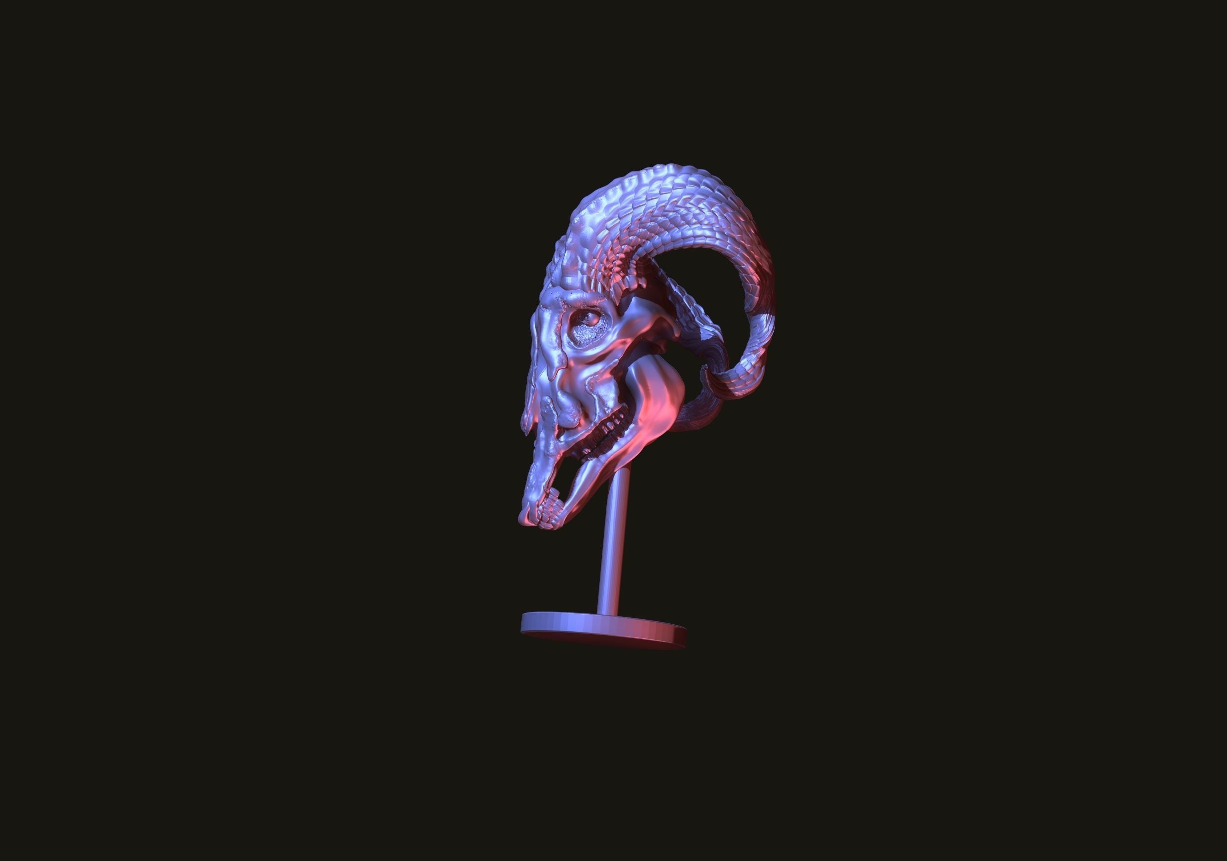 printready goat skull 3D print model_8
