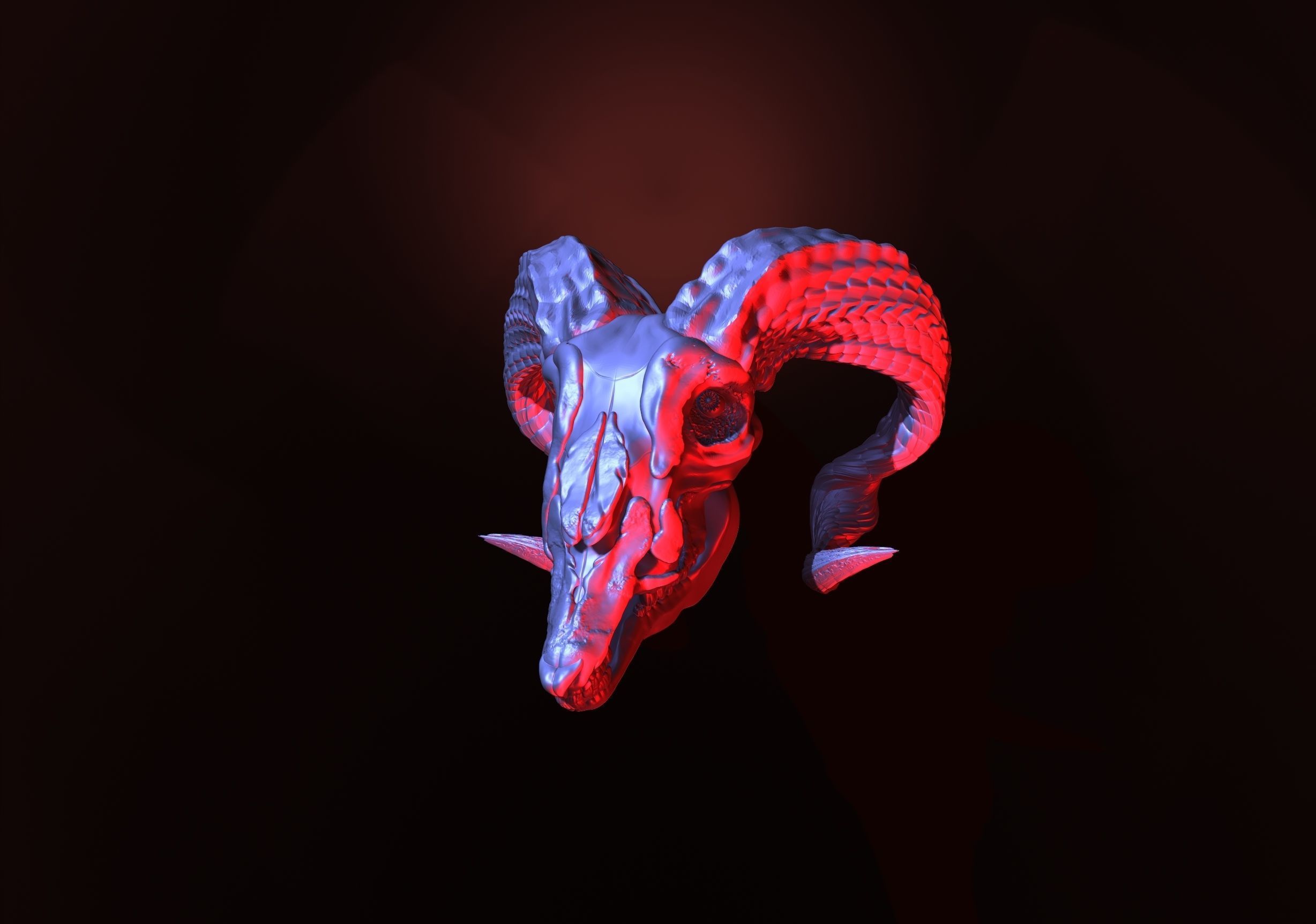 printready goat skull 3D print model_1