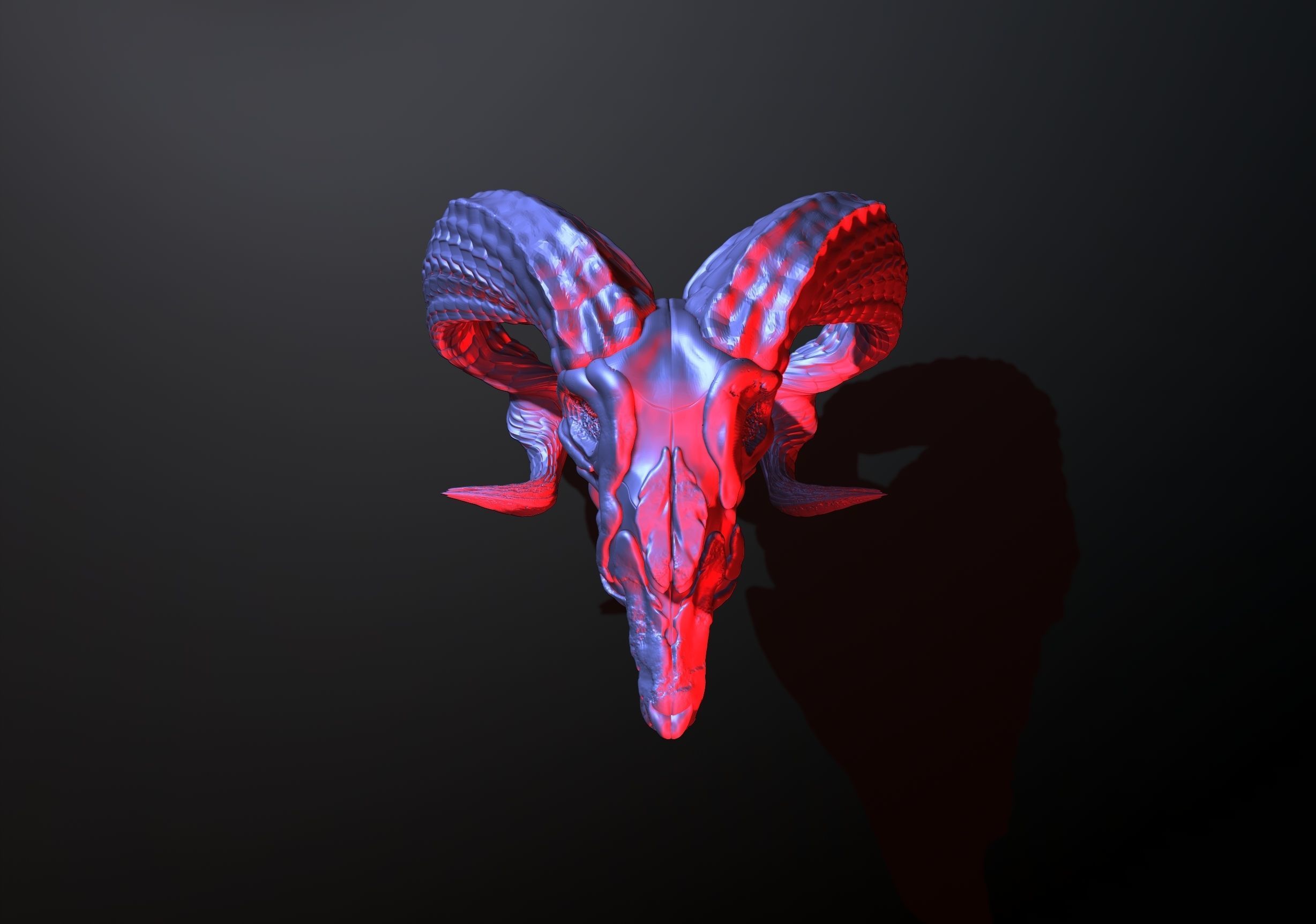 printready goat skull 3D print model_7