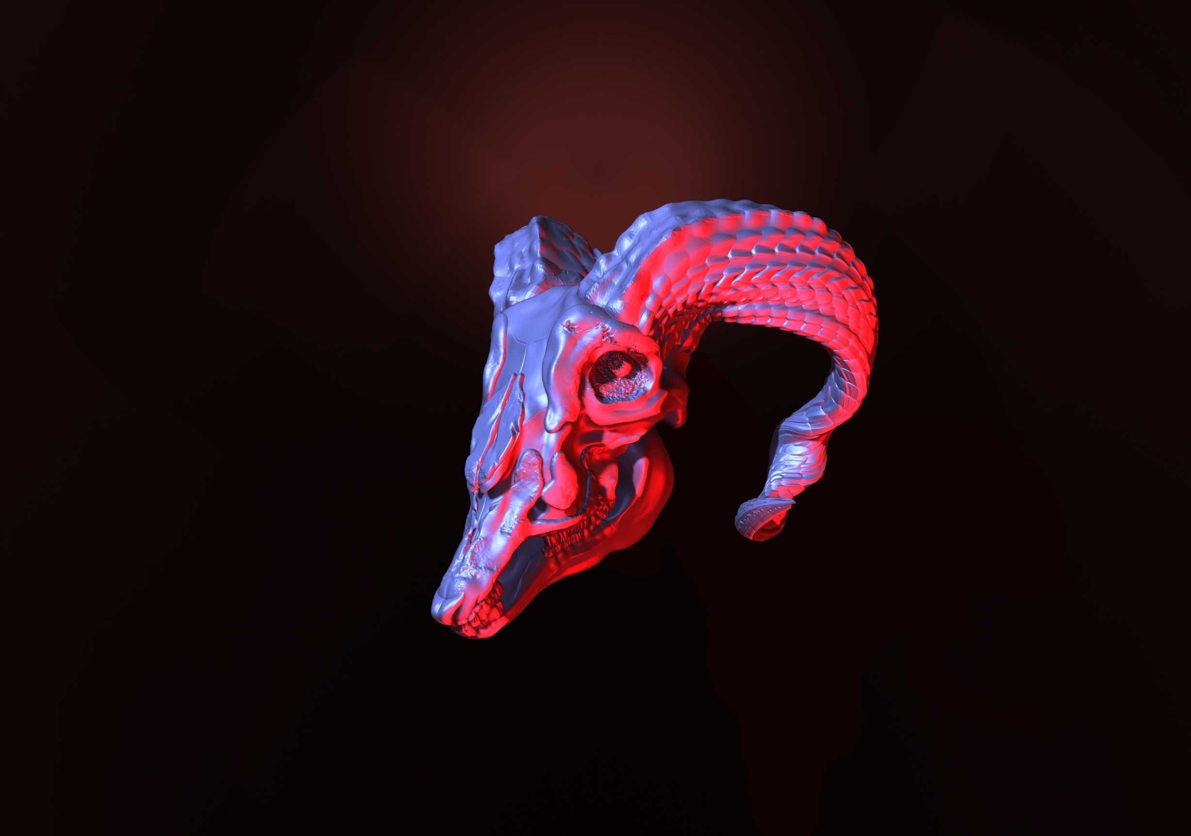 printready goat skull 3D print model_2