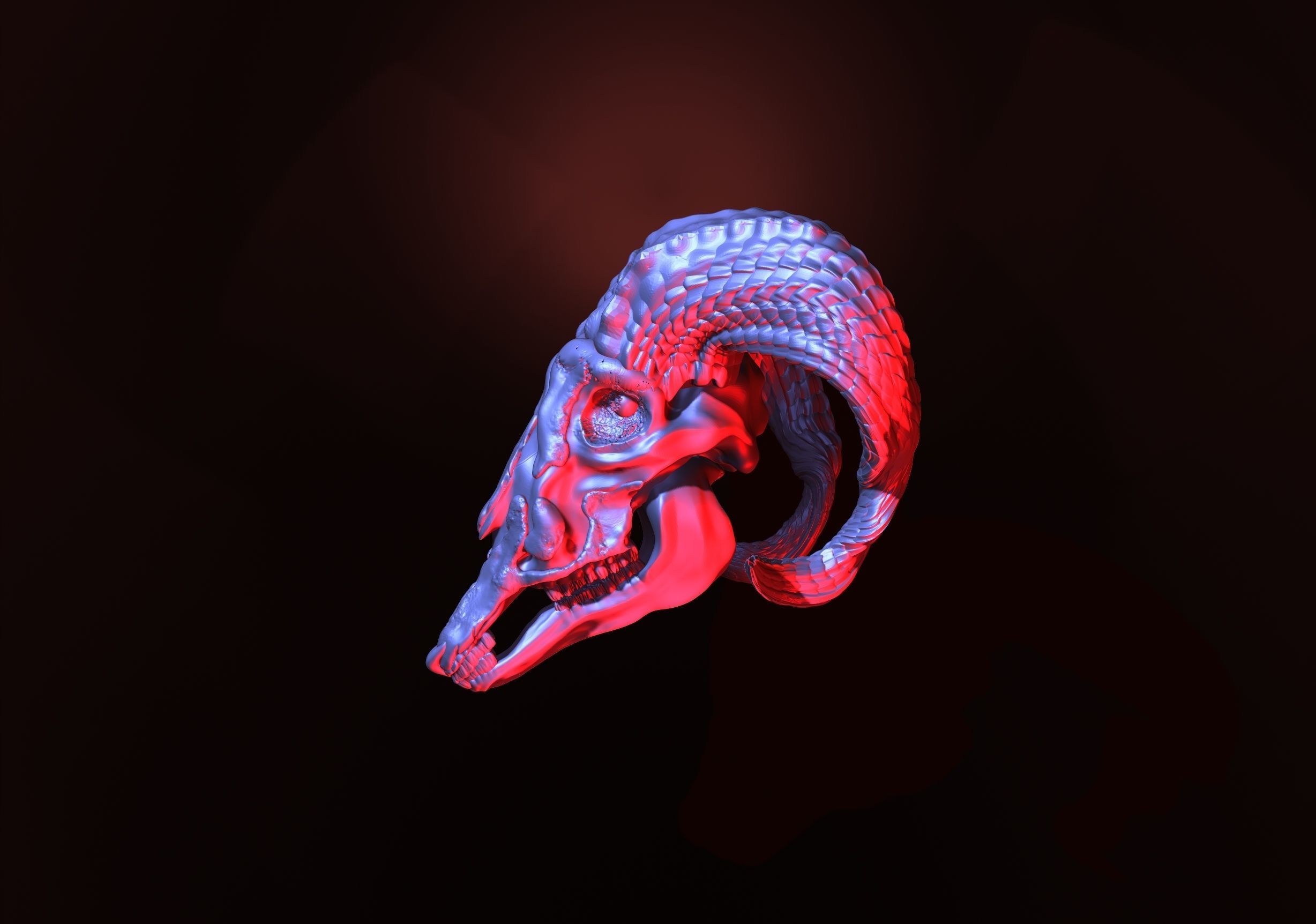 printready goat skull 3D print model_3