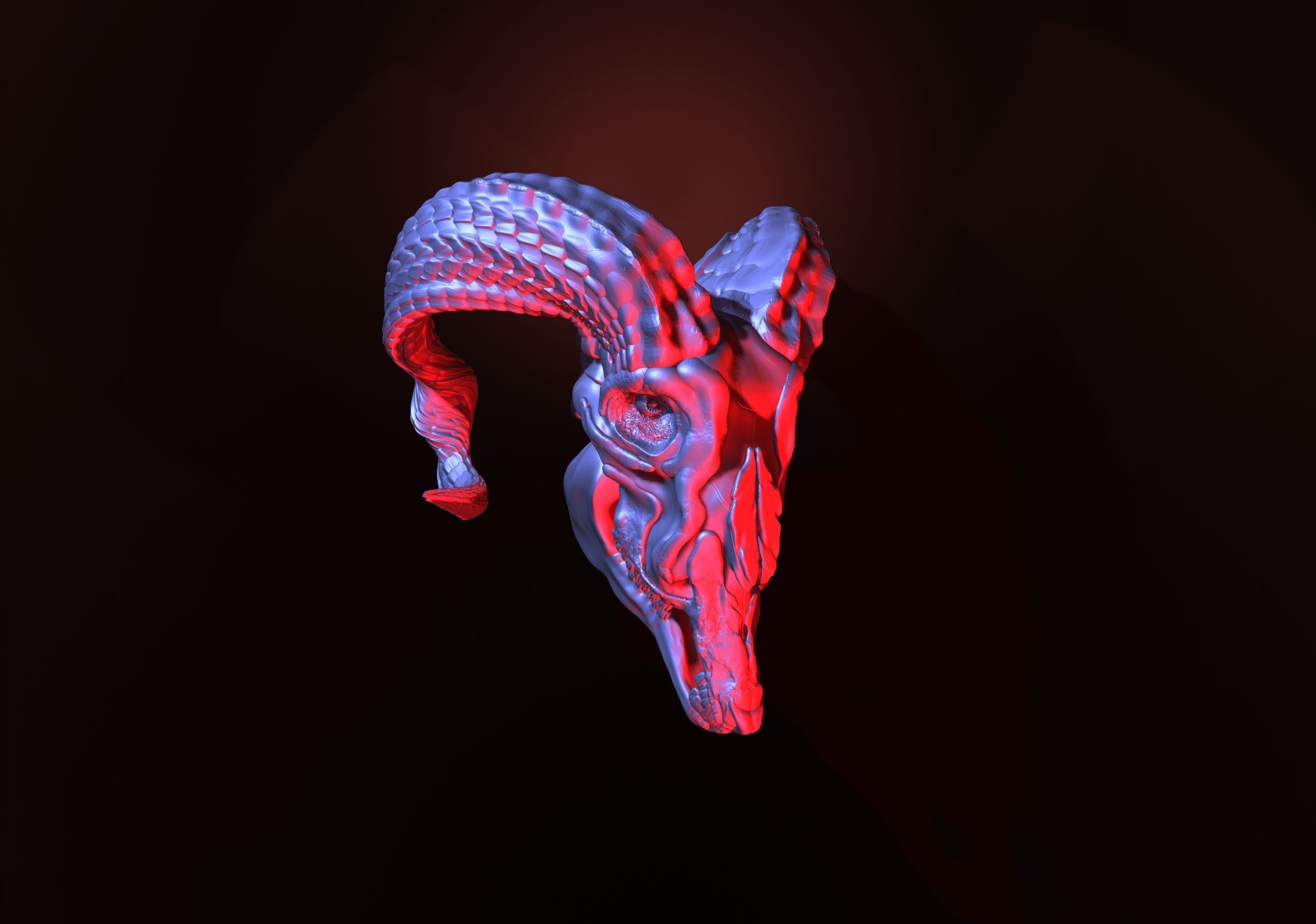 printready goat skull 3D print model_6