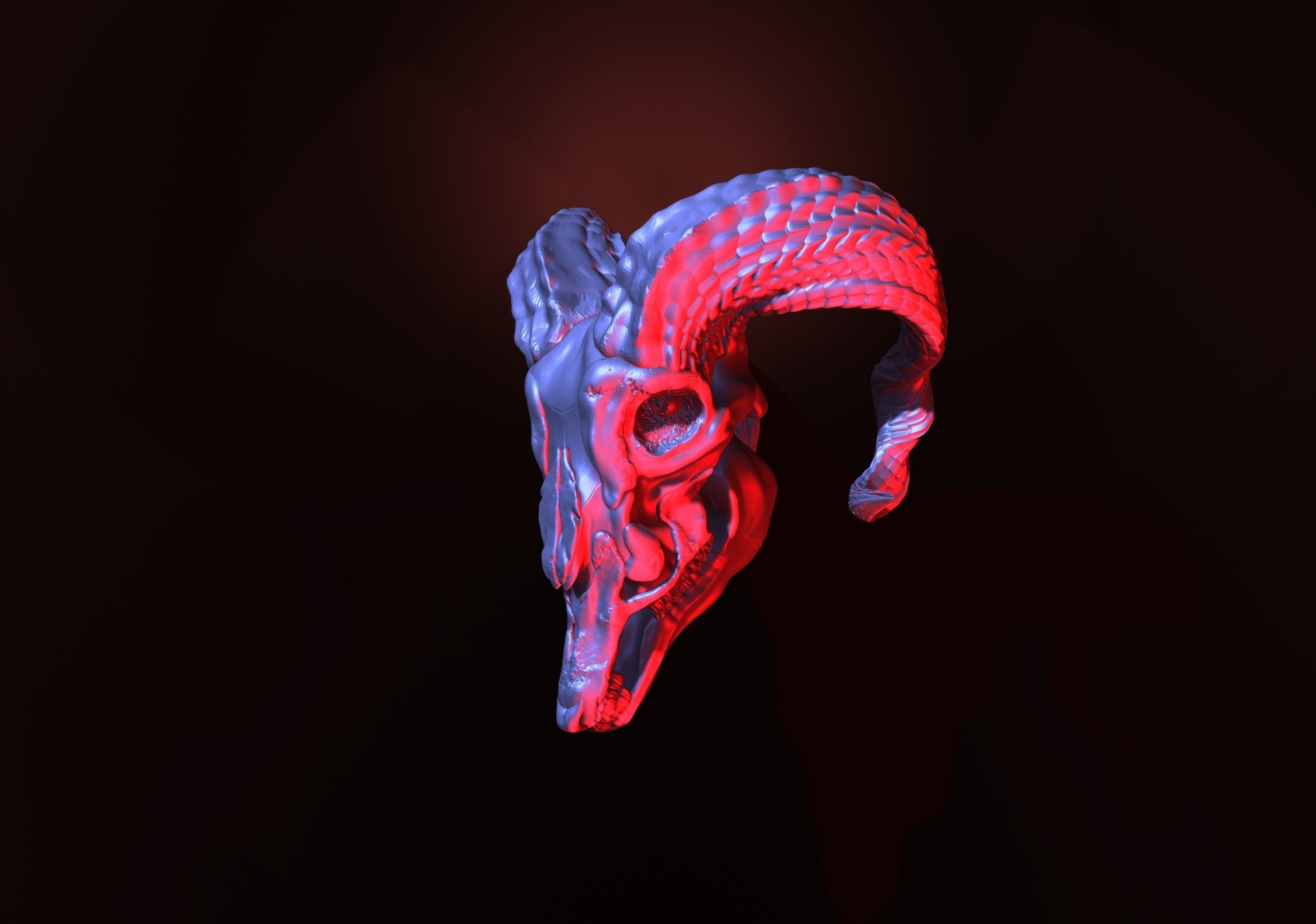 printready goat skull 3D print model_5