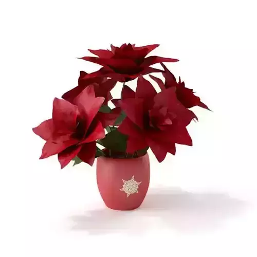 Red Potted Flowers