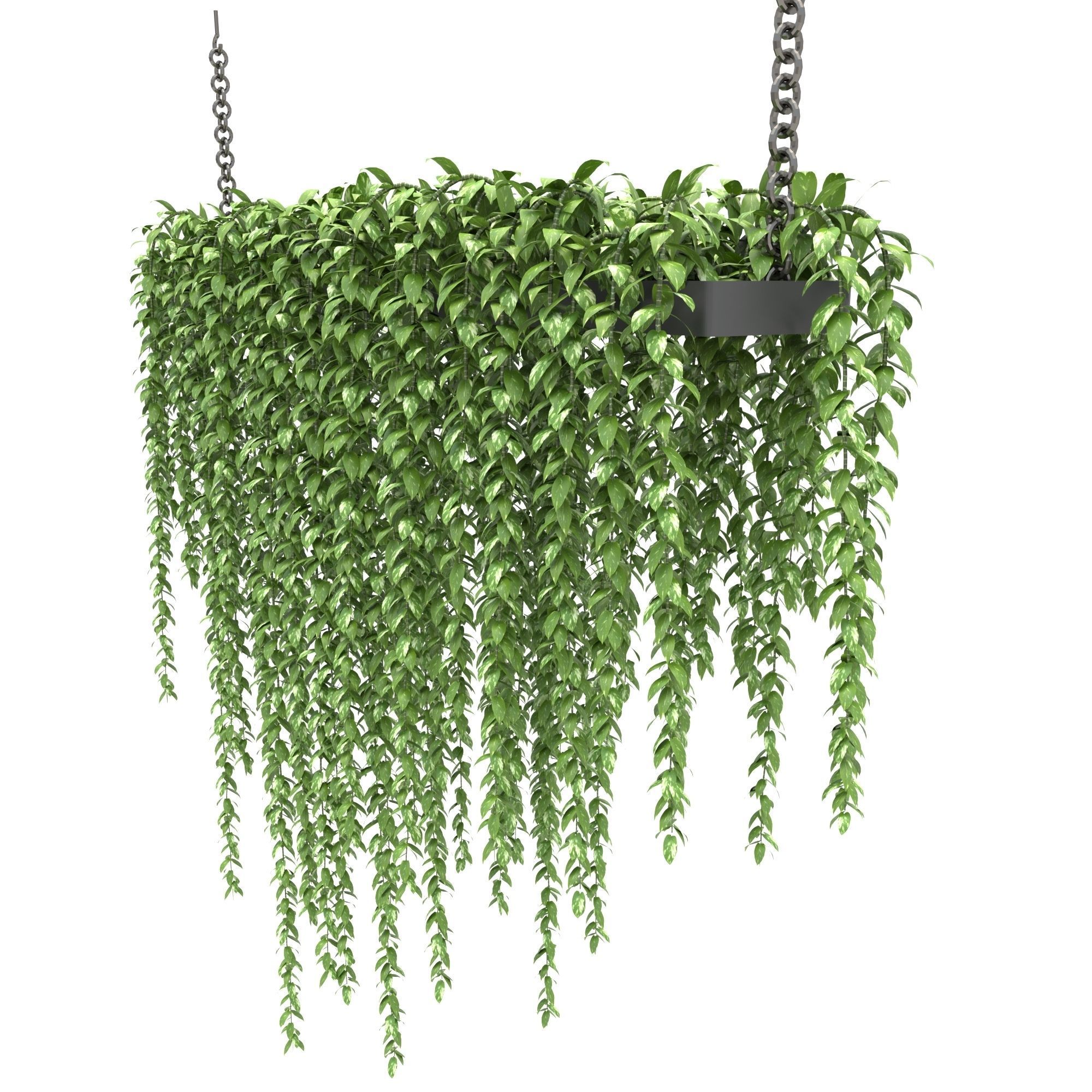 plants collection 19 3D model_3