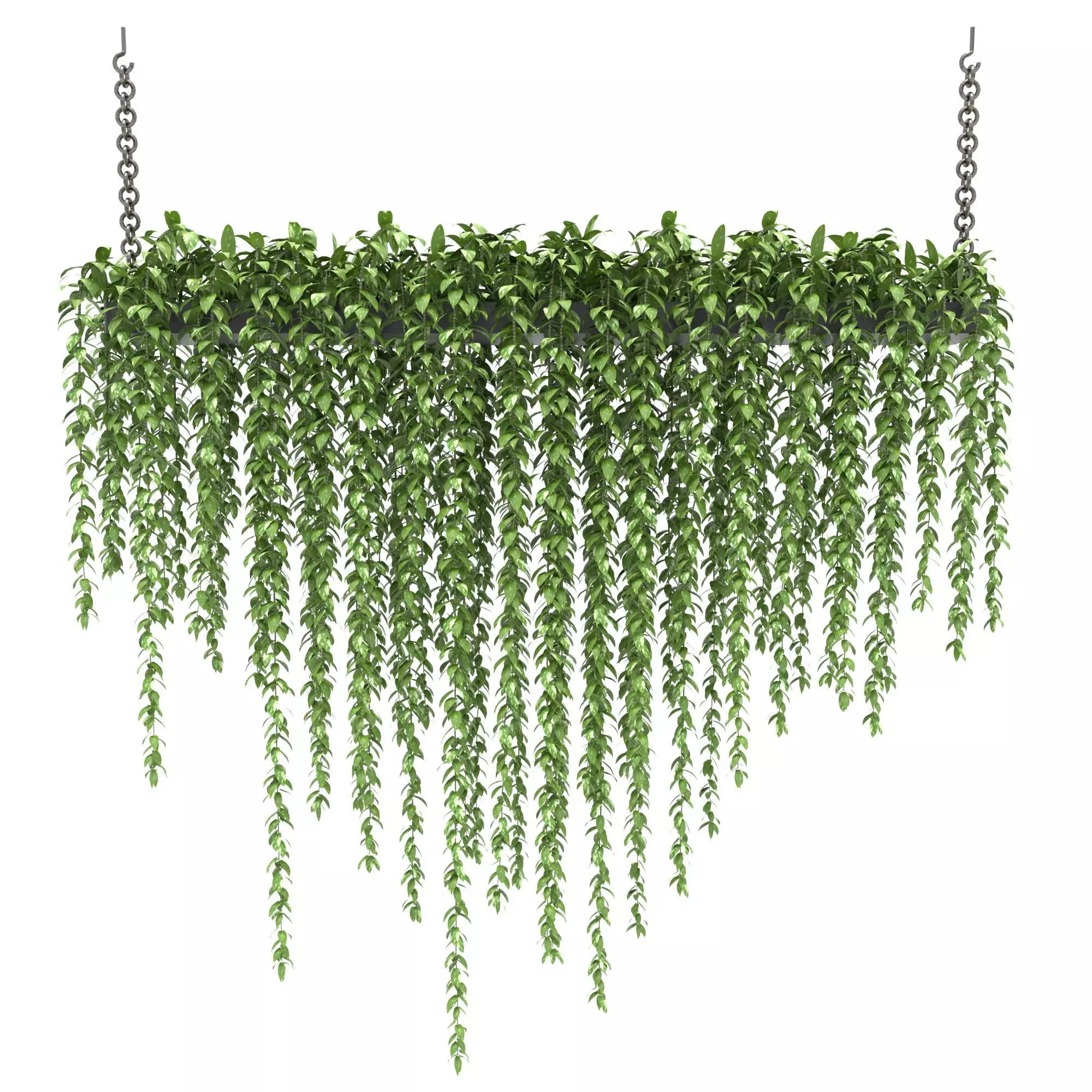 plants collection 19 3D model_0