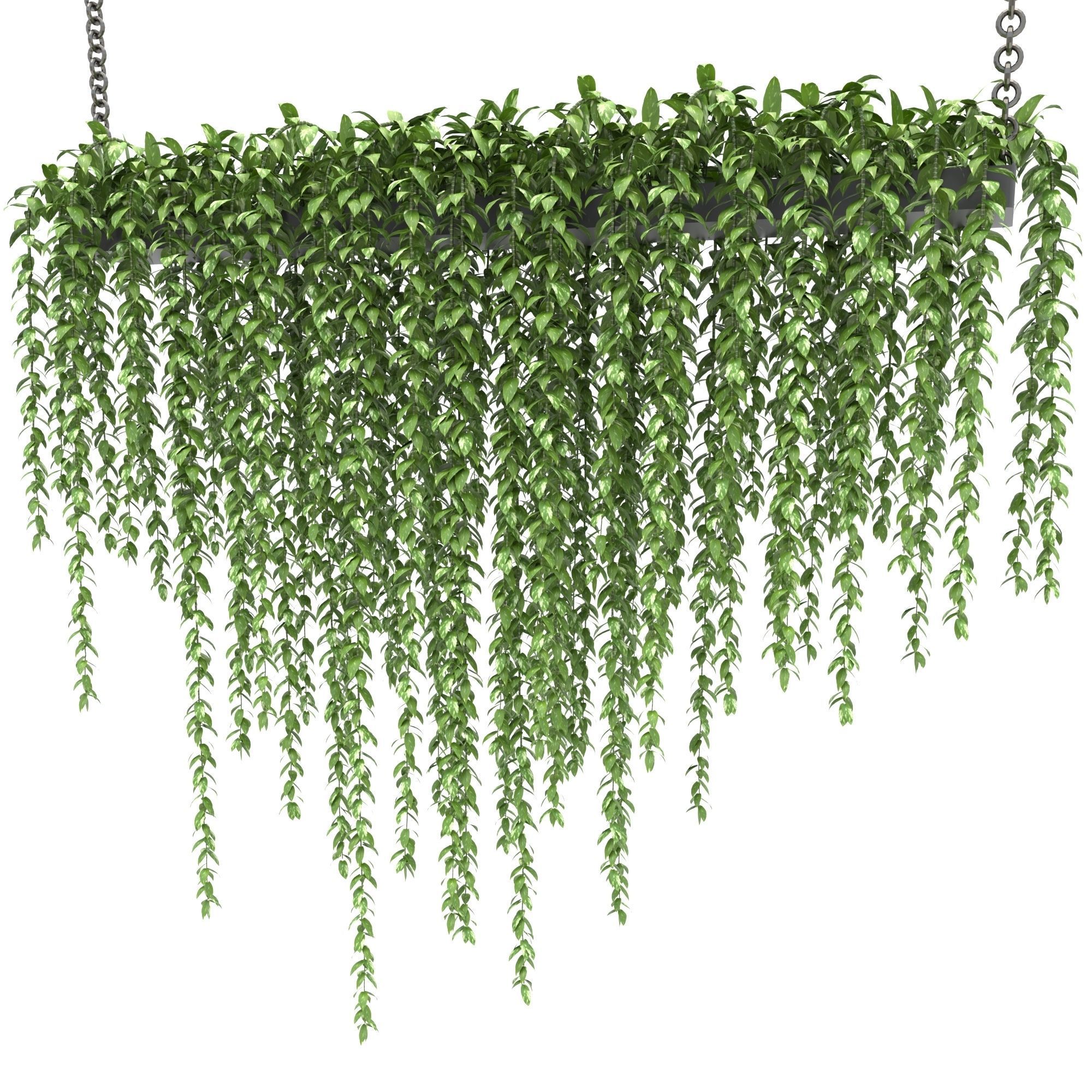 plants collection 19 3D model_2