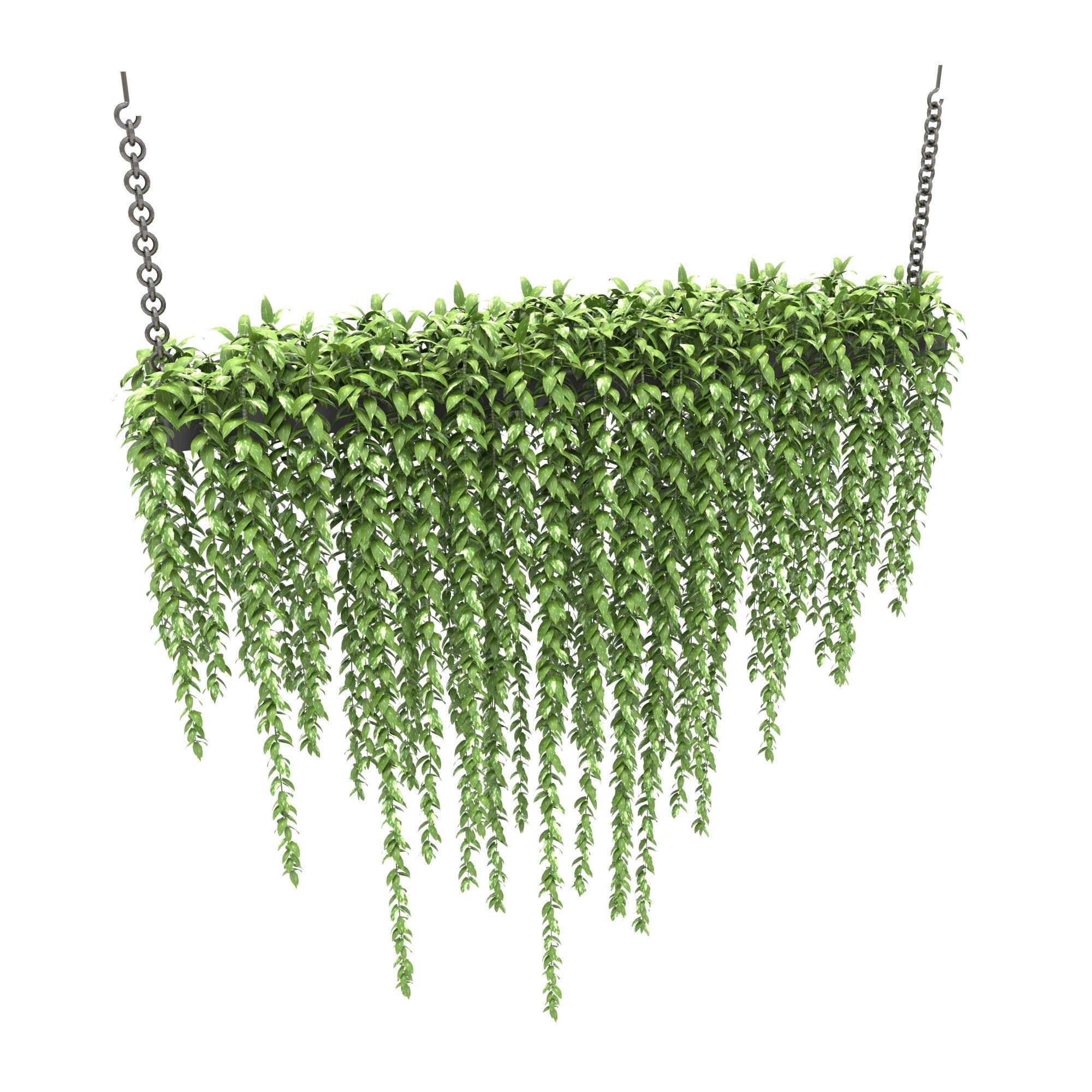plants collection 19 3D model_1