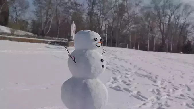 Snow man