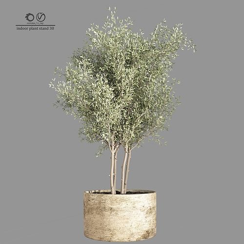 indoor plant stand 35 3D model