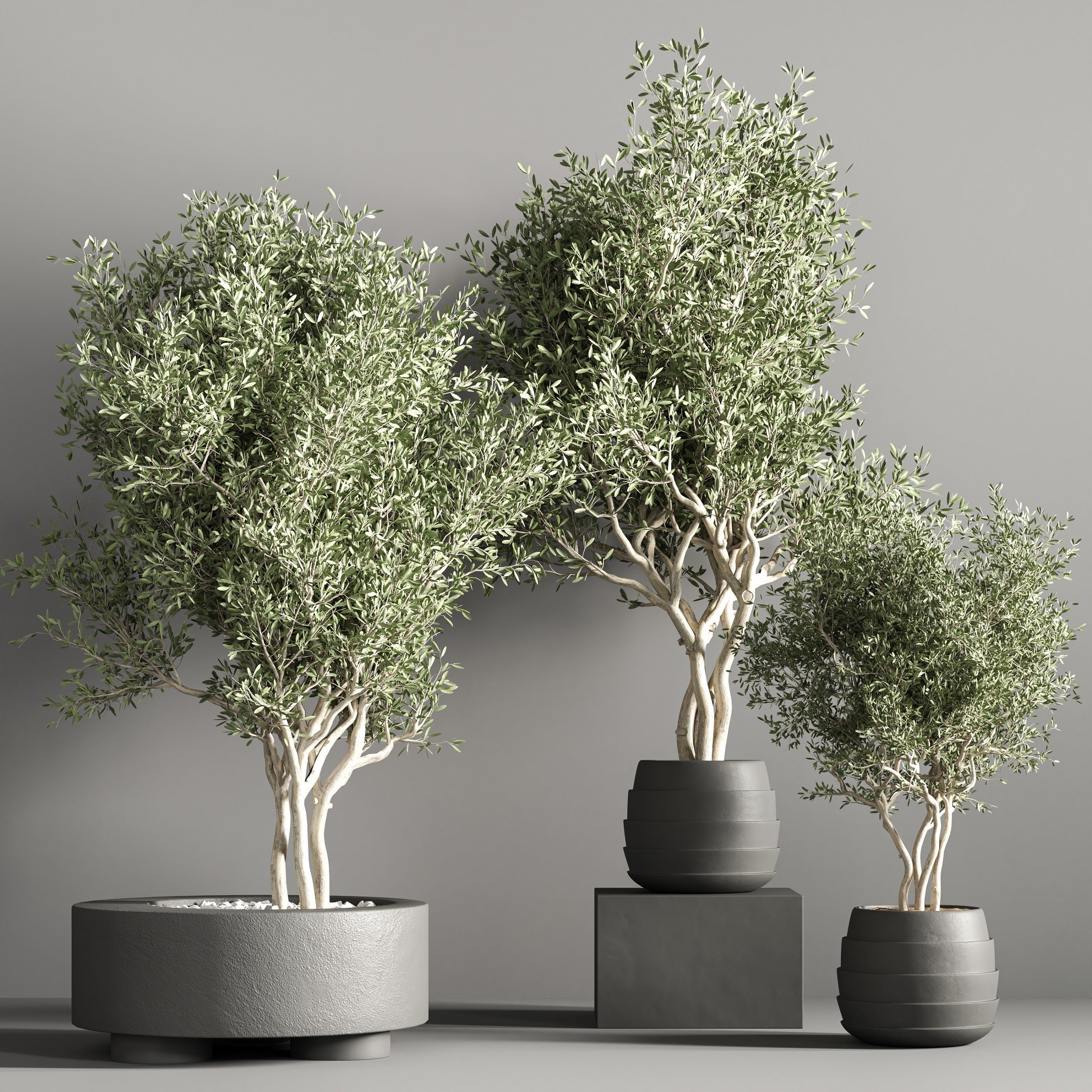 indoor plant stand 36 3D model_3
