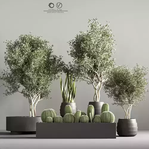 indoor plant stand 36 3D model