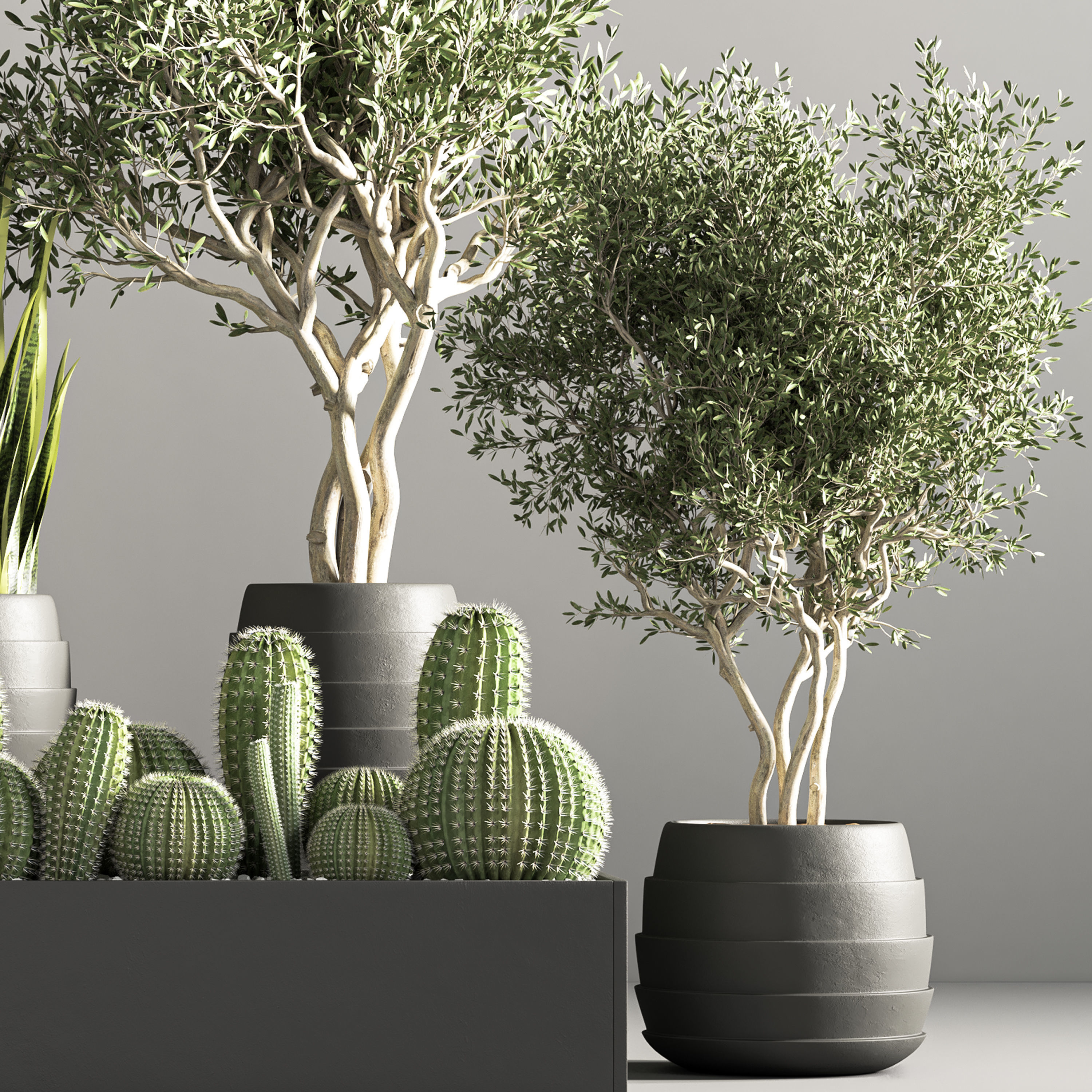 indoor plant stand 36 3D model_4