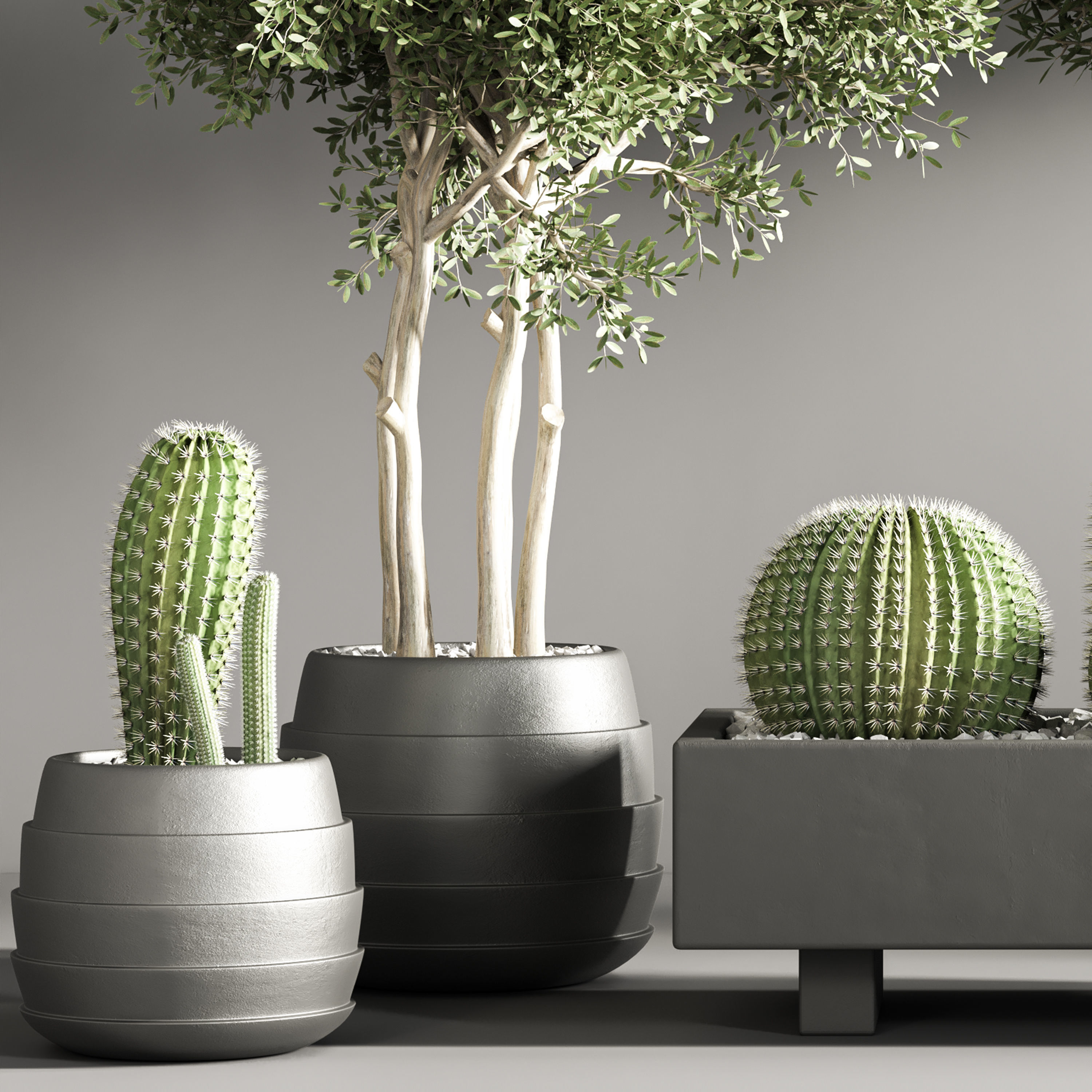 indoor plant stand 37 3D model_3