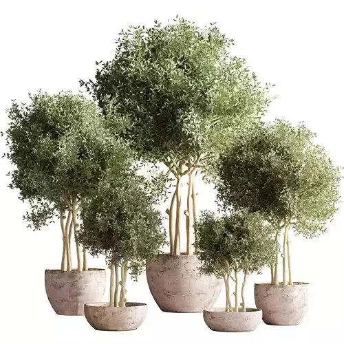 indoor plant stand 38