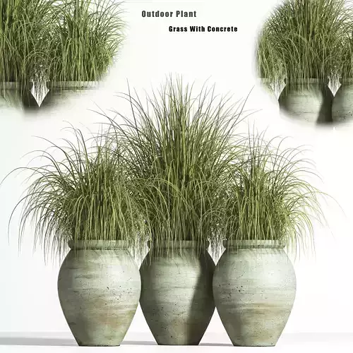 plant outdoor set 01 3D model