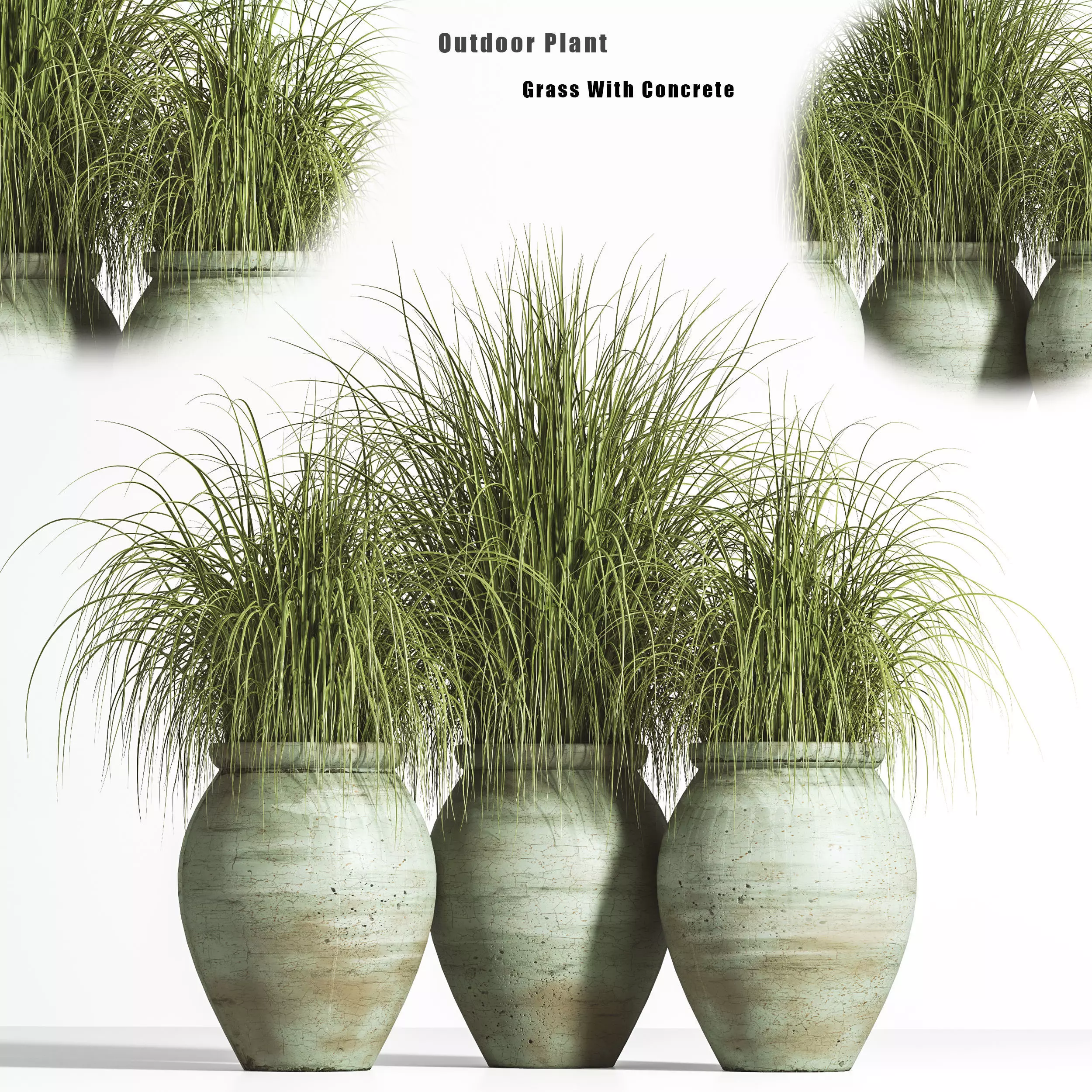 plant outdoor set 01 3D model