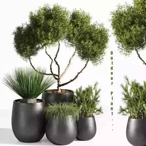 plant outdoor set 02