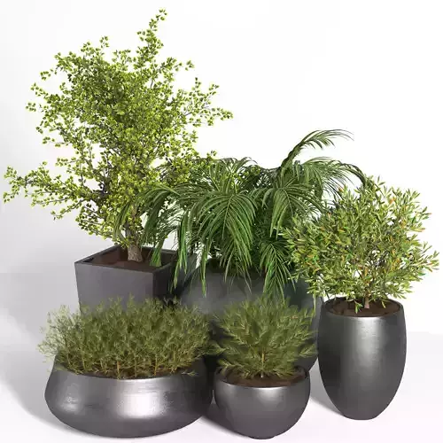 plant outdoor set 03