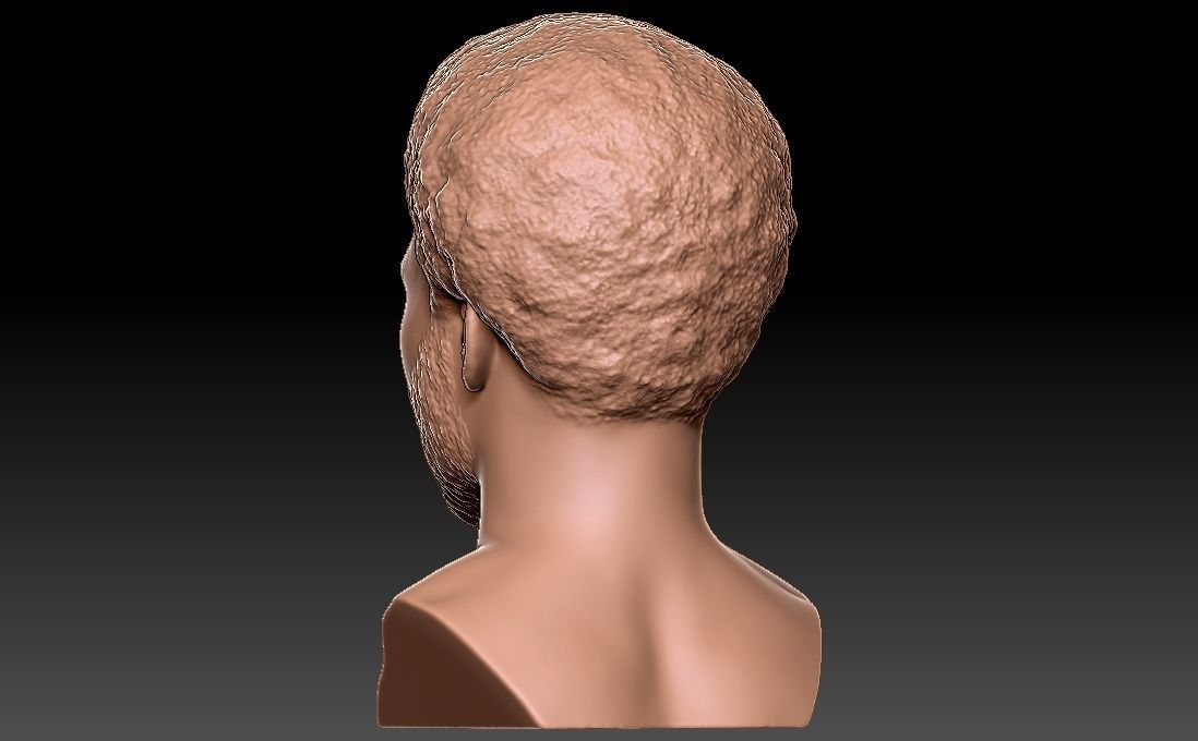 Childish Gambino Donald Glover bust for 3D printing 3D print model_11