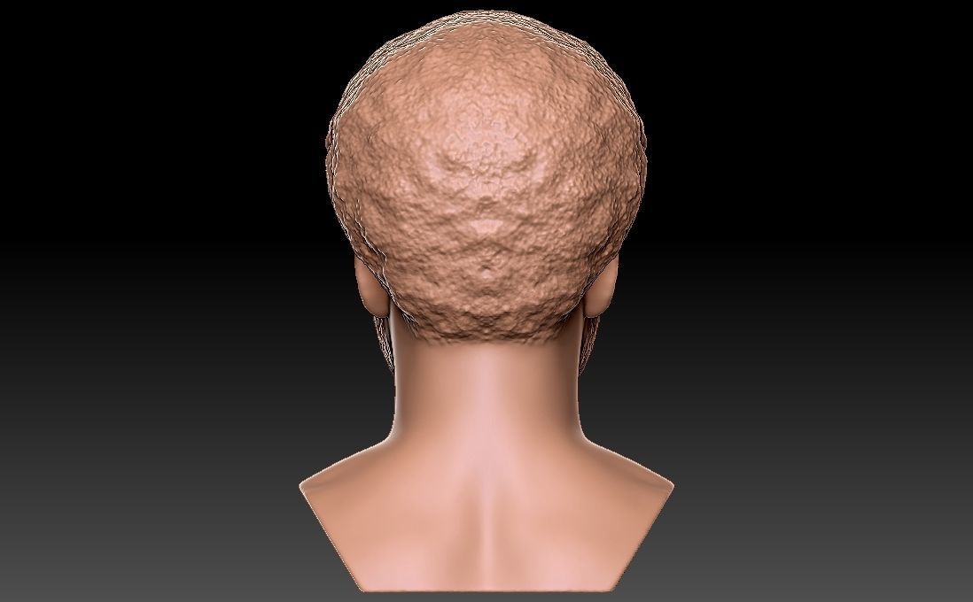 Childish Gambino Donald Glover bust for 3D printing 3D print model_12