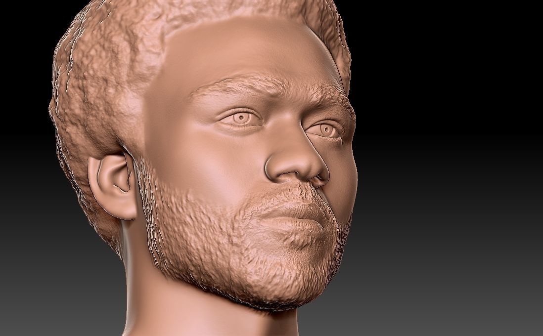 Childish Gambino Donald Glover bust for 3D printing 3D print model_23