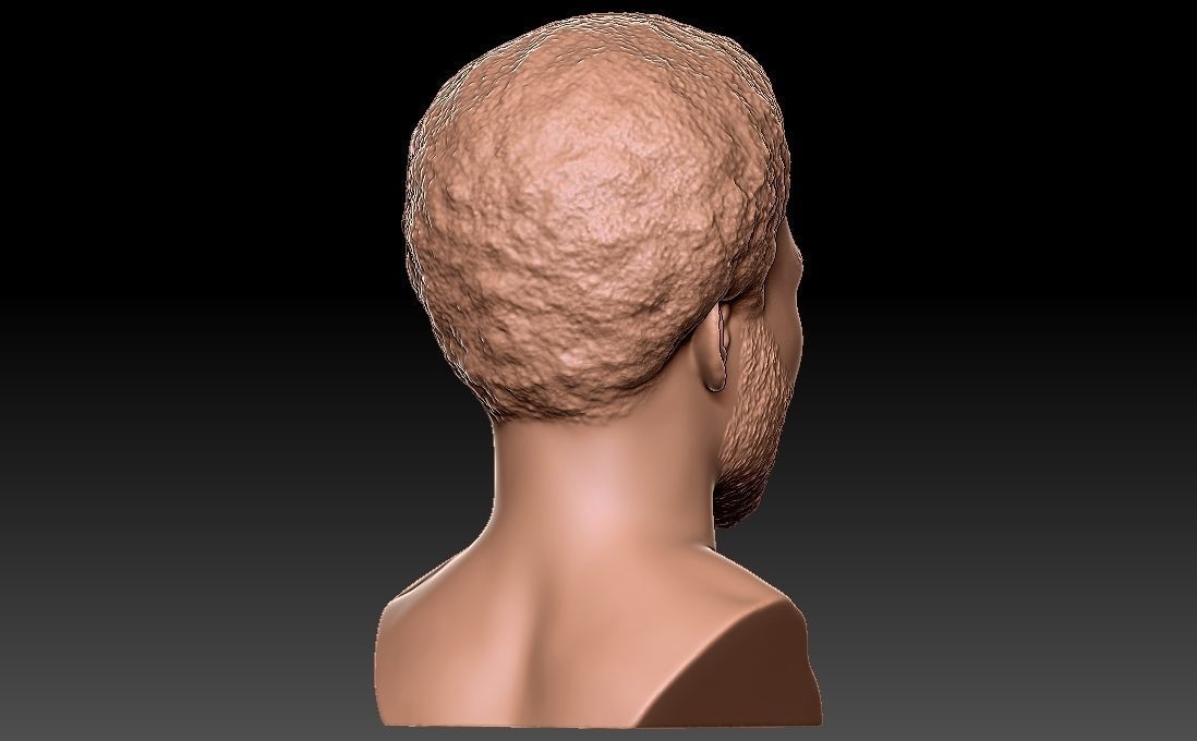 Childish Gambino Donald Glover bust for 3D printing 3D print model_13