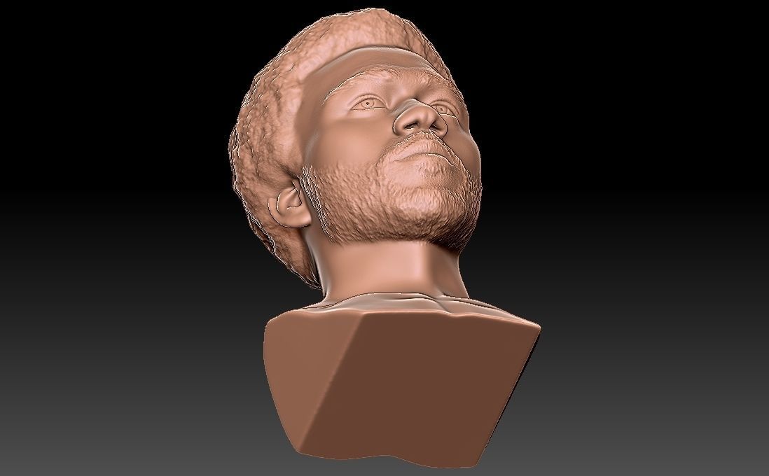 Childish Gambino Donald Glover bust for 3D printing 3D print model_27