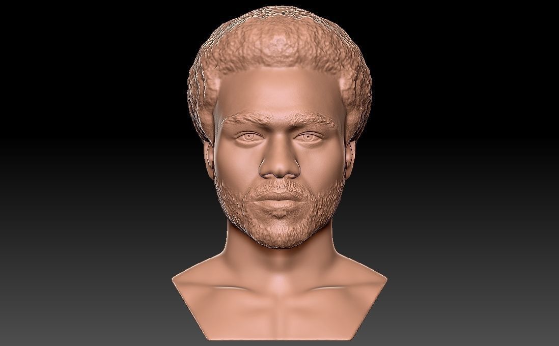Childish Gambino Donald Glover bust for 3D printing 3D print model_5