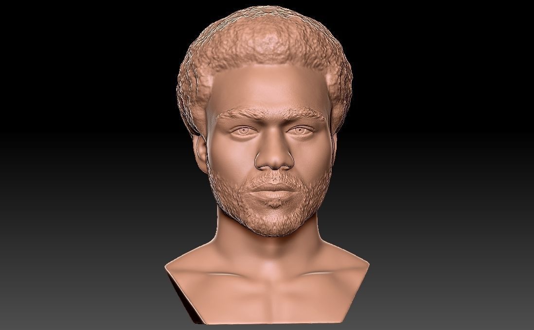 Childish Gambino Donald Glover bust for 3D printing 3D print model_18