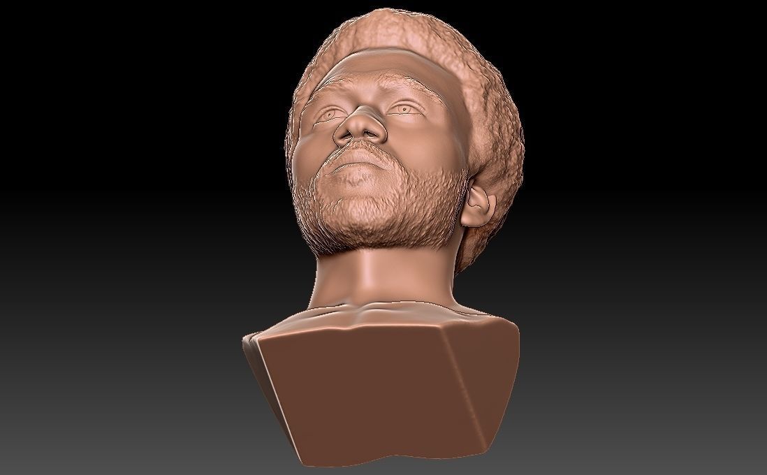Childish Gambino Donald Glover bust for 3D printing 3D print model_26