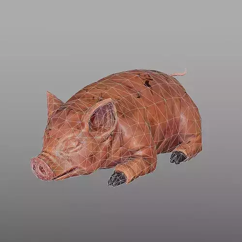 Stylized Fantasy Meat Pack Low-poly 3D model 6