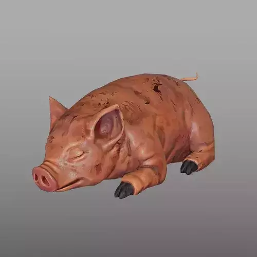Stylized Fantasy Meat Pack Low-poly 3D model 5
