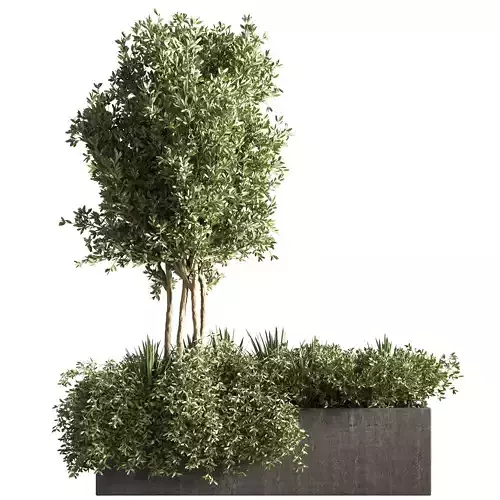 outdoor plant set 08