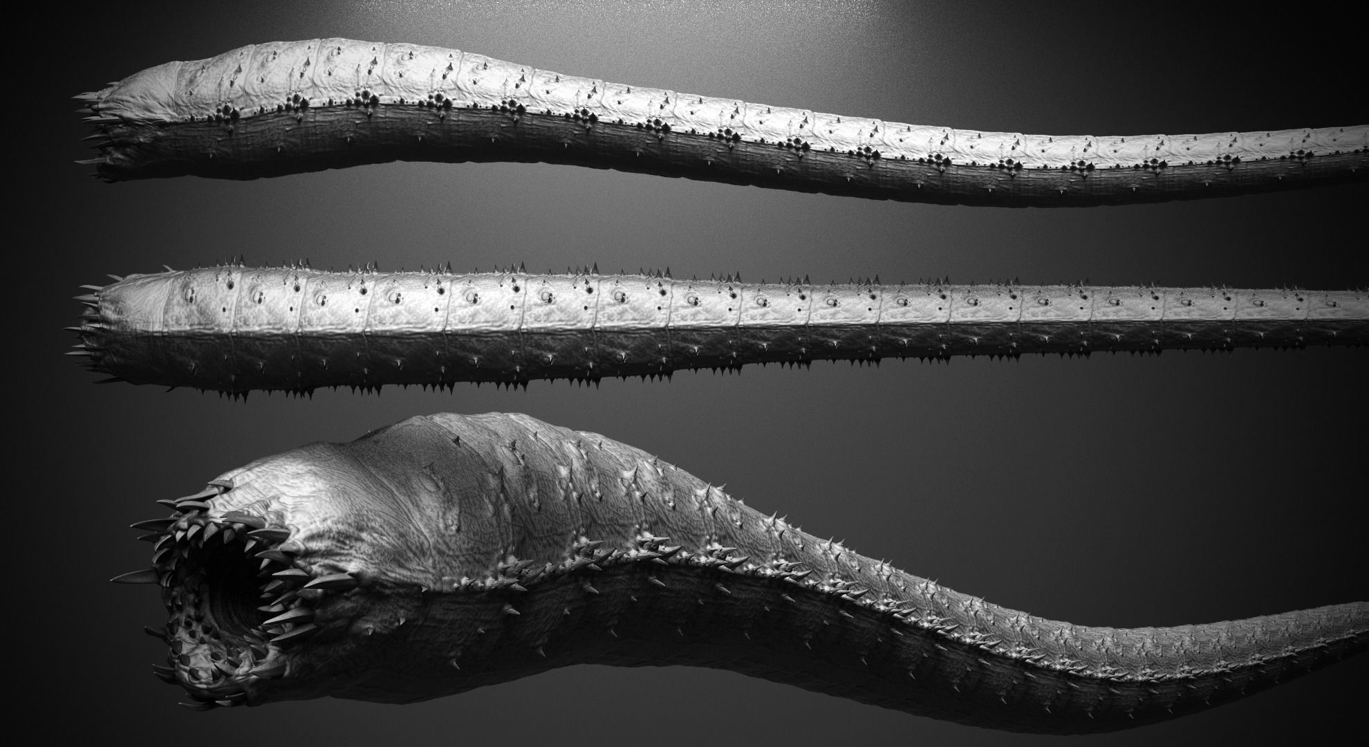 CRAWLERS - 33 Creeping Beasts Curve Brush and OBJs 3D model_7